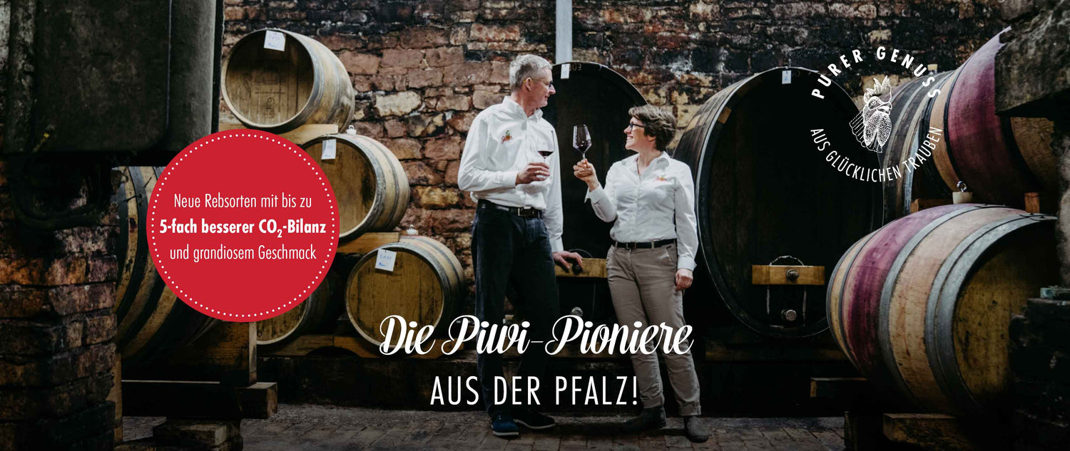Die Piwi-Pioniere aus der Pfalz