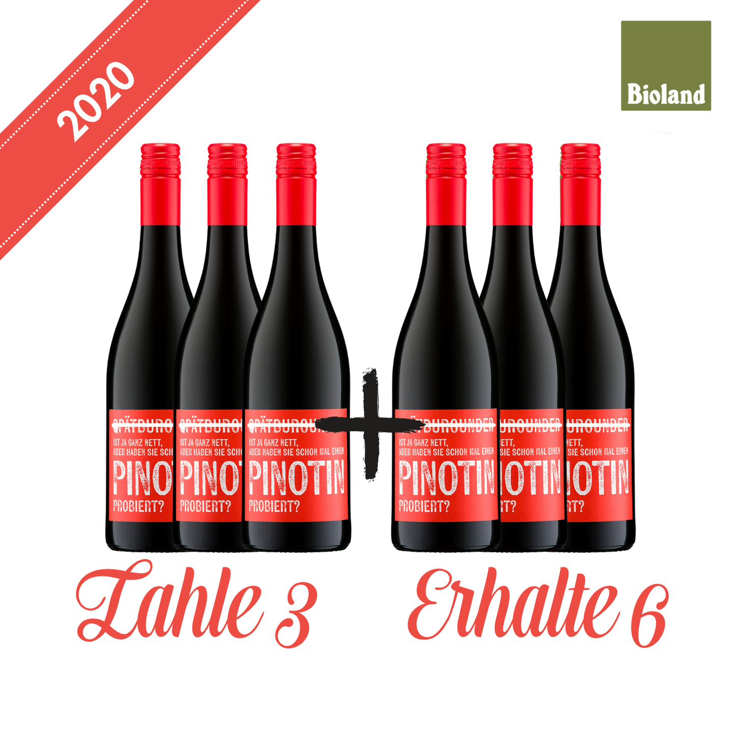 2020 Pinotin QbA Rotwein trocken 0,75 - 3=6
