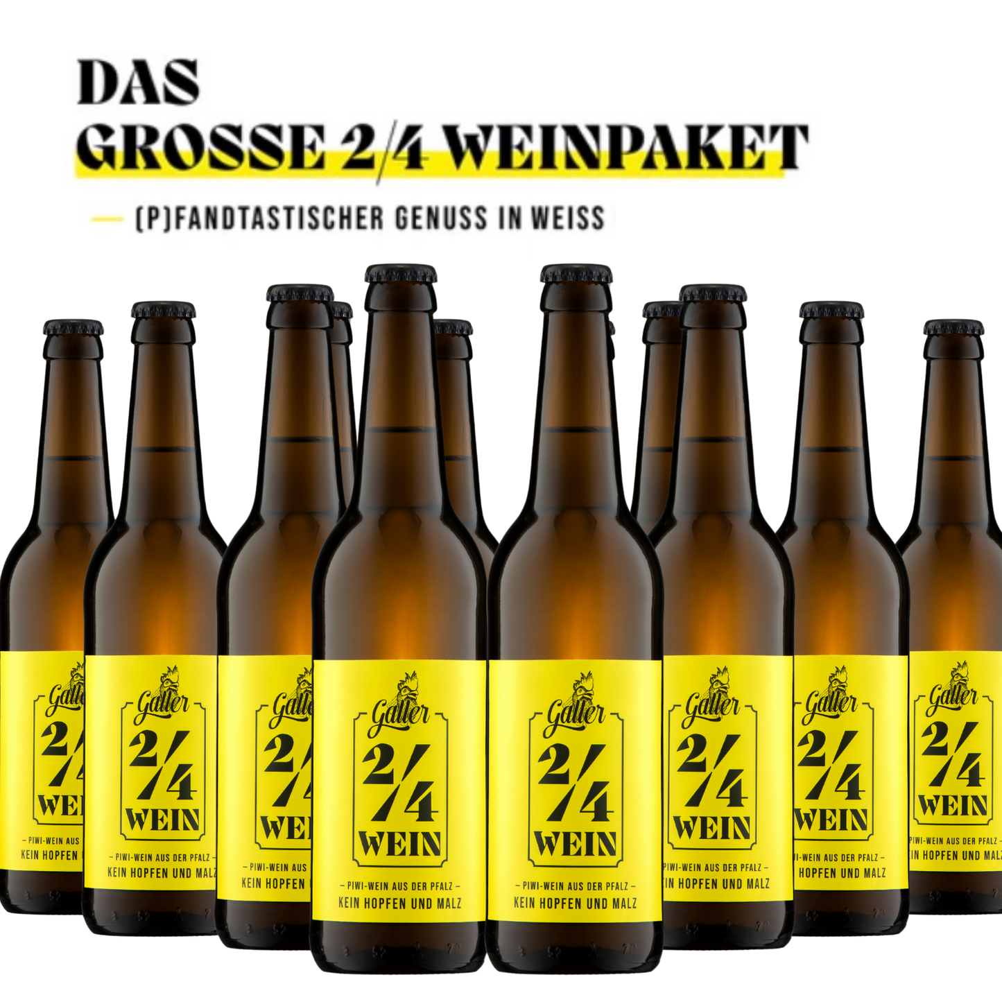 Großes 2/4 Weißweinpaket mit 12 Flaschen x 0,5l