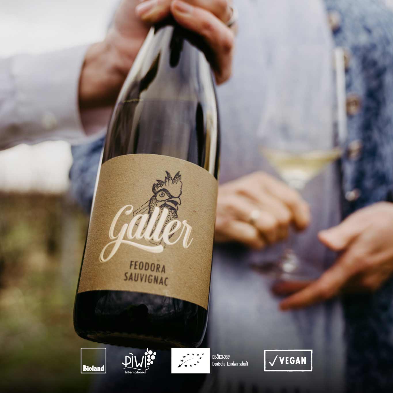 Weißwein Feodora aus dem Piwi Sauvignac