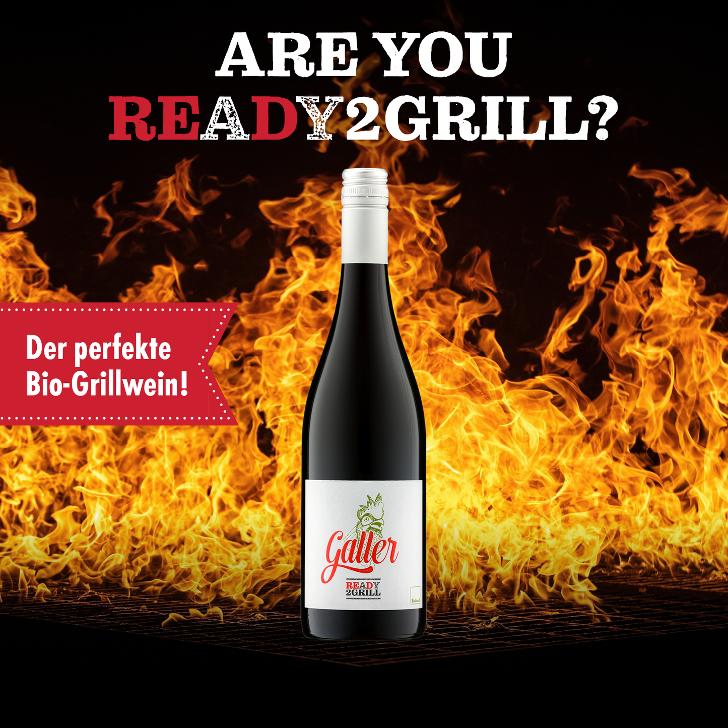 Are you Ready2Grill? Der perfekte Bio-Grillwein!