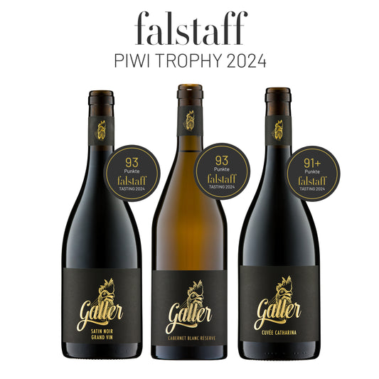 Falstaff Winner Paket 2024 - 3 x 0,75l