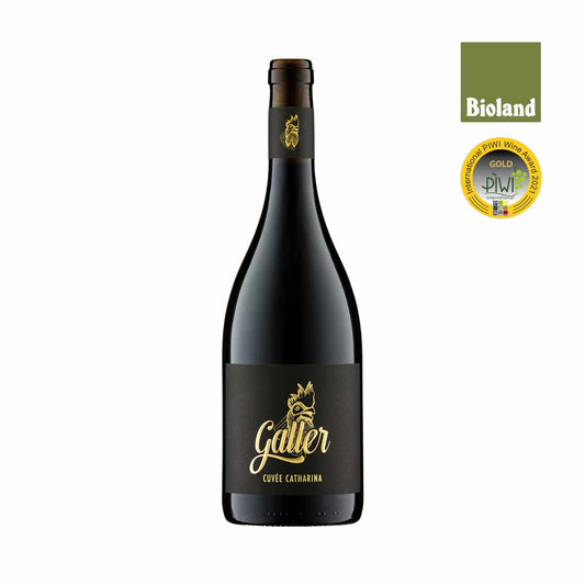 Grand Vin Cuvée Catharina aus dem Piwi Satin Noir