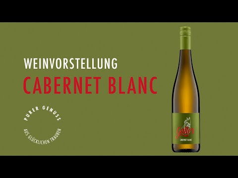 Nachhaltige Piwi Weine: Weingut Galler präsentiert den Cabernet blanc 2021