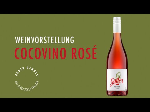 Weinvorstellung: cocovino rosé